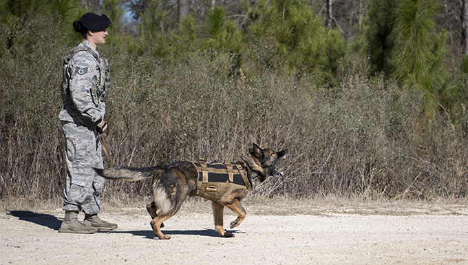 "Make Animated Videos App Logos Youtube Png Music 2017 Lewa